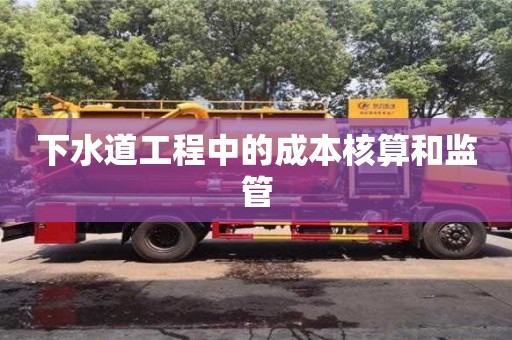 寧波下水道工程中的成本核算和監(jiān)管