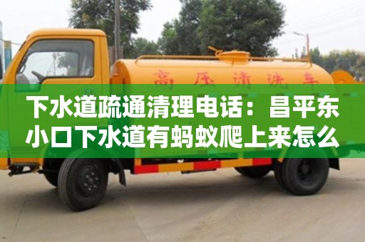 北京下水道疏通清理電話：昌平東小口下水道有螞蟻爬上來怎么處理