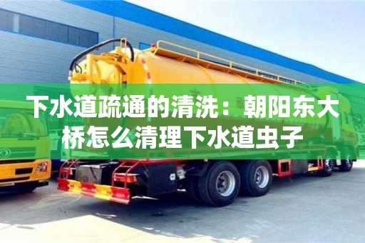 下水道疏通的清洗：朝陽東大橋怎么清理下水道蟲子