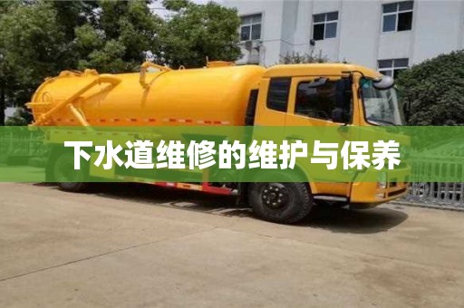 下水道維修的維護(hù)與保養(yǎng) 下水道維修的維護(hù)與保養(yǎng)