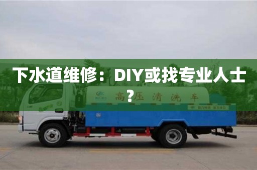 下水道維修:DIY或找專業人士? 下水道維修:DIY或找專業人士?