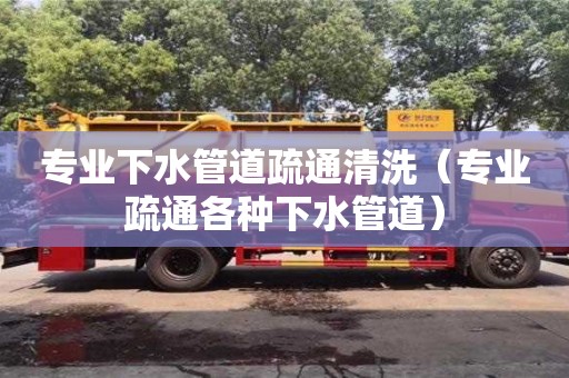 專業(yè)下水管道疏通清洗（專業(yè)疏通各種下水管道）