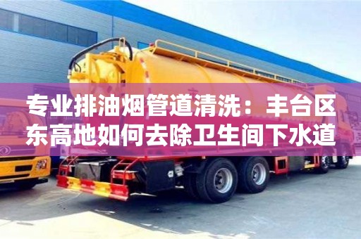 長沙專業(yè)排油煙管道清洗：豐臺區(qū)東高地如何去除衛(wèi)生間下水道的臭味