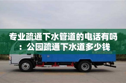 寧波專業疏通下水管道的電話有嗎 ：公園疏通下水道多少錢