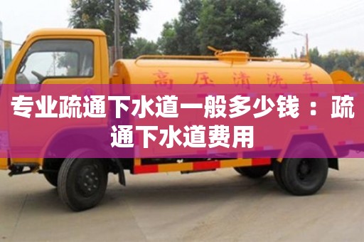 北京專業(yè)疏通下水道一般多少錢 ：疏通下水道費用
