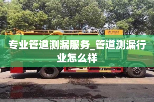 專業管道測漏服務_管道測漏行業怎么樣
