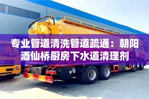 專業管道清洗管道疏通：朝陽酒仙橋廚房下水道清理劑