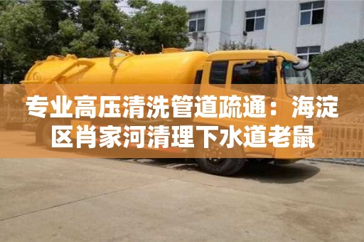 專業高壓清洗管道疏通：海淀區肖家河清理下水道老鼠