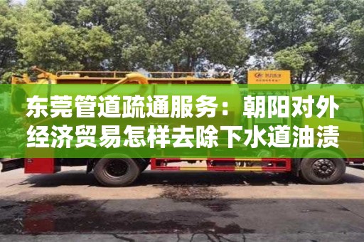東莞管道疏通服務：朝陽對外經濟貿易怎樣去除下水道油漬