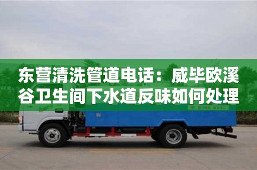 東營清洗管道電話：威畢歐溪谷衛生間下水道反味如何處理