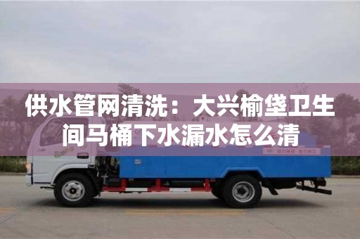 紹興供水管網清洗：大興榆垡衛生間馬桶下水漏水怎么清