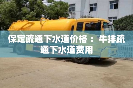 北京保定疏通下水道價格 ：牛排疏通下水道費用