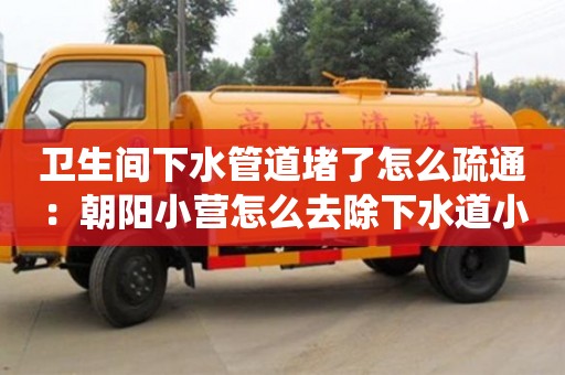 北京衛生間下水管道堵了怎么疏通：朝陽小營怎么去除下水道小紅蟲