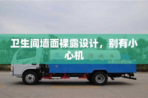 北京衛生間墻面裸露設計，別有小心機