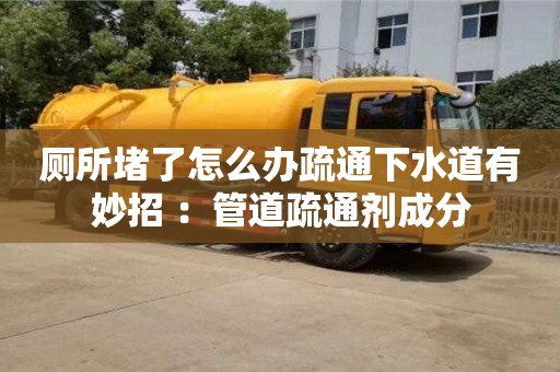 廁所堵了怎么辦疏通下水道有妙招 ：管道疏通劑成分