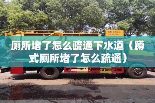 寧波廁所堵了怎么疏通下水道（蹲式廁所堵了怎么疏通）