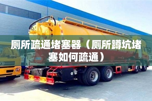 廁所疏通堵塞器（廁所蹲坑堵塞如何疏通）