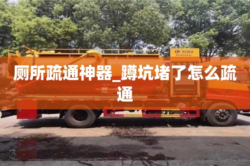 廁所疏通神器_蹲坑堵了怎么疏通
