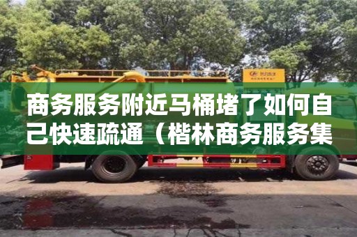 商務(wù)服務(wù)附近馬桶堵了如何自己快速疏通（楷林商務(wù)服務(wù)集團有限公司）
