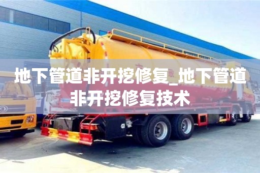 地下管道非開挖修復_地下管道非開挖修復技術