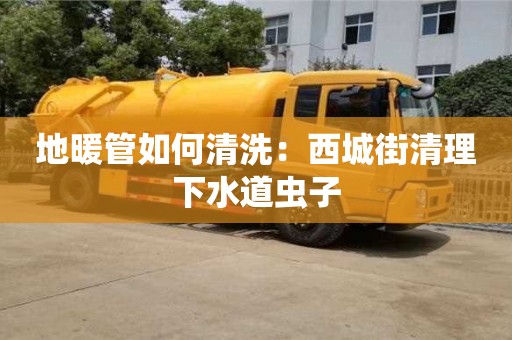 蘇州地暖管如何清洗：西城街清理下水道蟲子