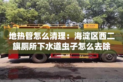 蘇州地熱管怎么清理：海淀區西二旗廁所下水道蟲子怎么去除