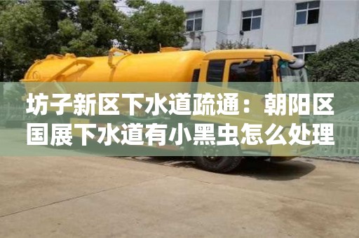 坊子新區下水道疏通：朝陽區國展下水道有小黑蟲怎么處理