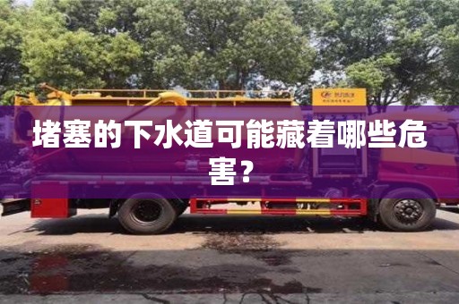 堵塞的下水道可能藏著哪些危害? 堵塞的下水道可能藏著哪些危害?