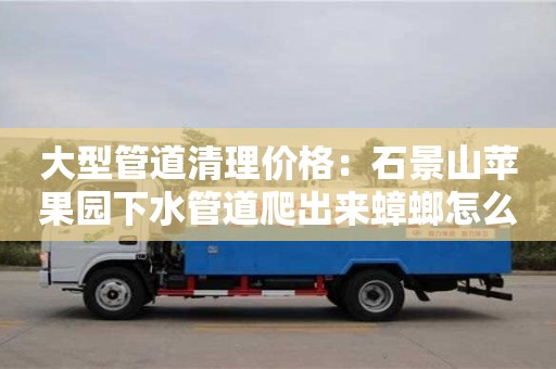 天津大型管道清理價格：石景山蘋果園下水管道爬出來蟑螂怎么處理