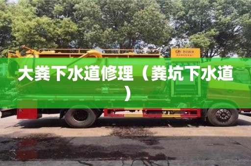 北京大糞下水道修理（糞坑下水道）