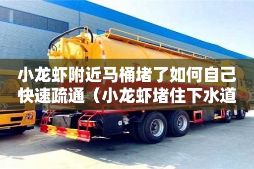 小龍蝦附近馬桶堵了如何自己快速疏通（小龍蝦堵住下水道怎么辦）