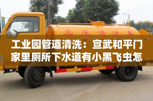 工業園管道清洗：宣武和平門家里廁所下水道有小黑飛蟲怎么處理