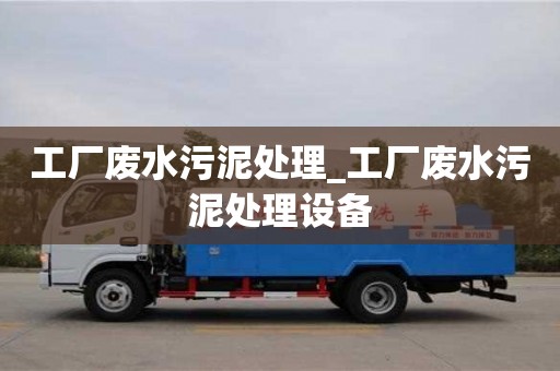 北京工廠廢水污泥處理_工廠廢水污泥處理設(shè)備