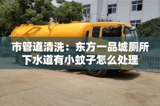 市管道清洗：東方一品城廁所下水道有小蚊子怎么處理