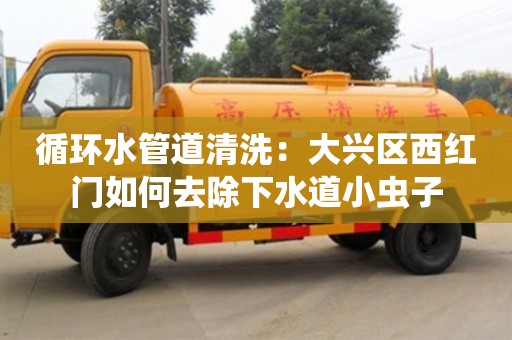 紹興循環水管道清洗：大興區西紅門如何去除下水道小蟲子