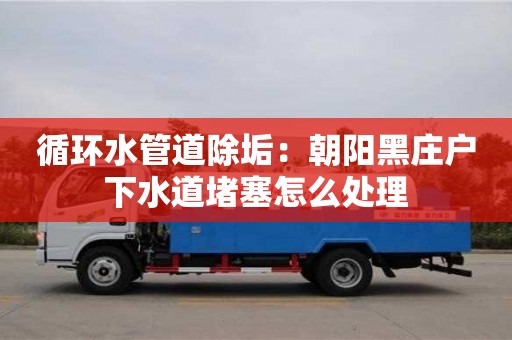 紹興循環水管道除垢：朝陽黑莊戶下水道堵塞怎么處理
