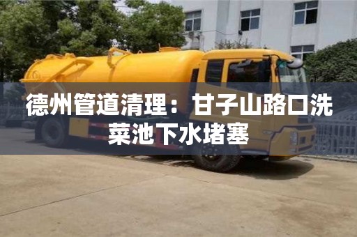 北京德州管道清理：甘子山路口洗菜池下水堵塞
