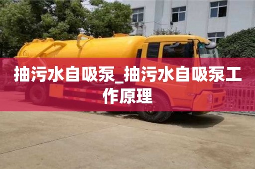 北京抽污水自吸泵_抽污水自吸泵工作原理