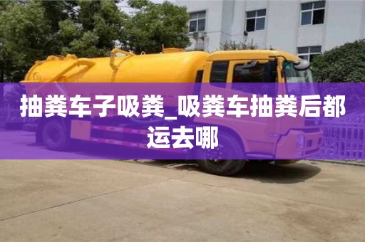 抽糞車(chē)子吸糞_吸糞車(chē)抽糞后都運(yùn)去哪