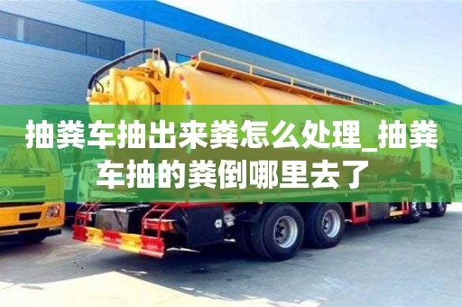 北京抽糞車抽出來糞怎么處理_抽糞車抽的糞倒哪里去了