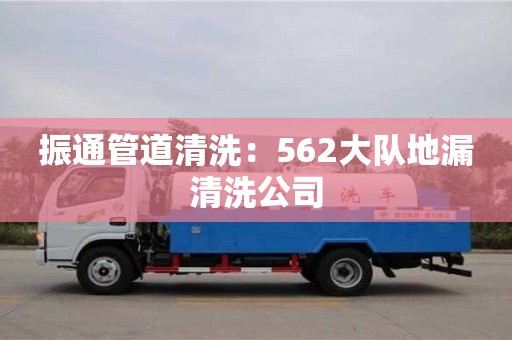 振通管道清洗：562大隊地漏清洗公司