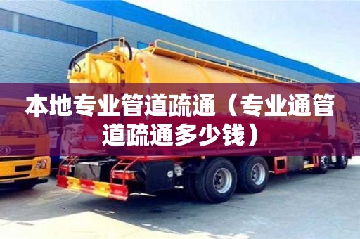 北京本地專業(yè)管道疏通（專業(yè)通管道疏通多少錢）
