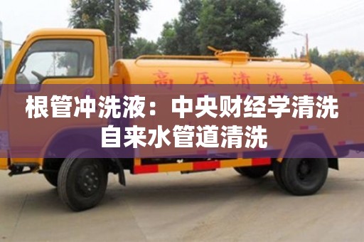 根管沖洗液：中央財經學清洗自來水管道清洗