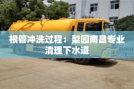 紹興根管沖洗過程：梨園南昌專業清理下水道