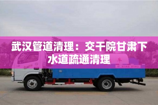 重慶武漢管道清理：交干院甘肅下水道疏通清理