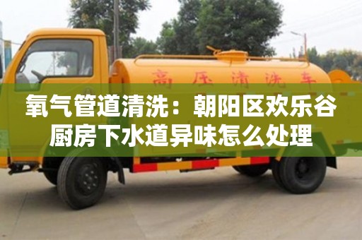 紹興氧氣管道清洗：朝陽(yáng)區(qū)歡樂(lè)谷廚房下水道異味怎么處理
