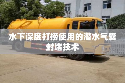 紹興水下深度打撈使用的潛水氣囊封堵技術