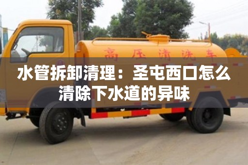 紹興水管拆卸清理：圣屯西口怎么清除下水道的異味