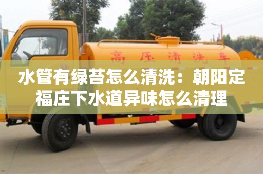 北京水管有綠苔怎么清洗：朝陽定福莊下水道異味怎么清理