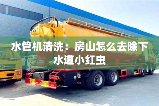 天津水管機(jī)清洗：房山怎么去除下水道小紅蟲